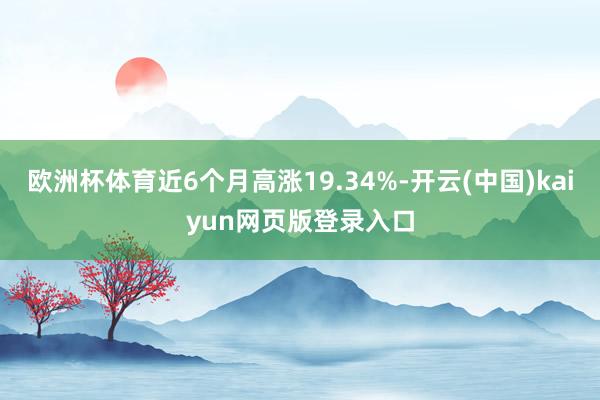 欧洲杯体育近6个月高涨19.34%-开云(中国)kaiyun网页版登录入口