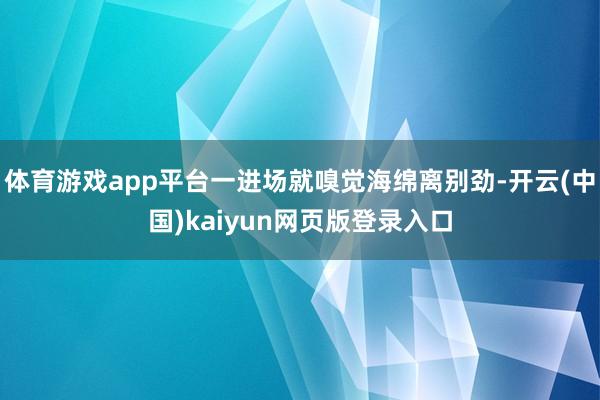 体育游戏app平台一进场就嗅觉海绵离别劲-开云(中国)kaiyun网页版登录入口