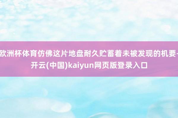 欧洲杯体育仿佛这片地盘耐久贮蓄着未被发现的机要-开云(中国)kaiyun网页版登录入口