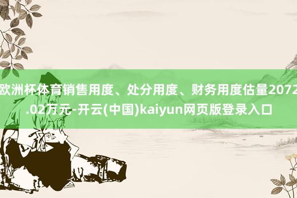 欧洲杯体育销售用度、处分用度、财务用度估量2072.02万元-开云(中国)kaiyun网页版登录入口